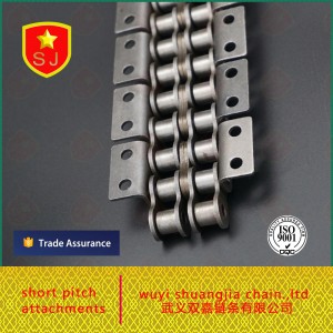 roller chain 