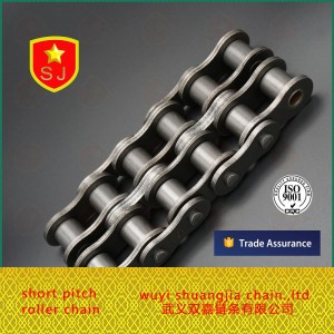 double strand roller chain