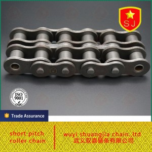 double-row roller chains