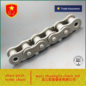 roller chain factory